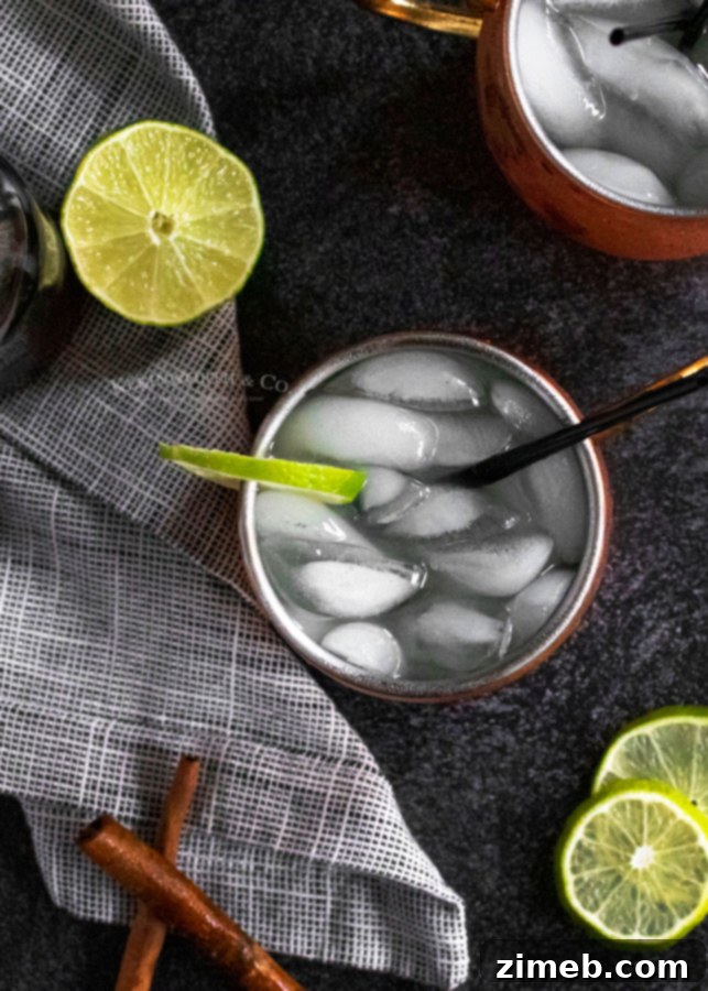 Cinnamon Ember Mule 3 Classic Russian Mule Drink with a holiday cinnamon spice twist. Ideal for festive gatherings and cozy evenings.