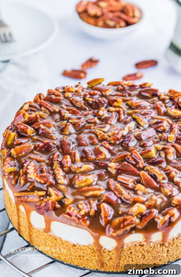 Ultimate No-Bake Pecan Pie Cheesecake 11 how to make No-Bake Pecan Pie Cheesecake