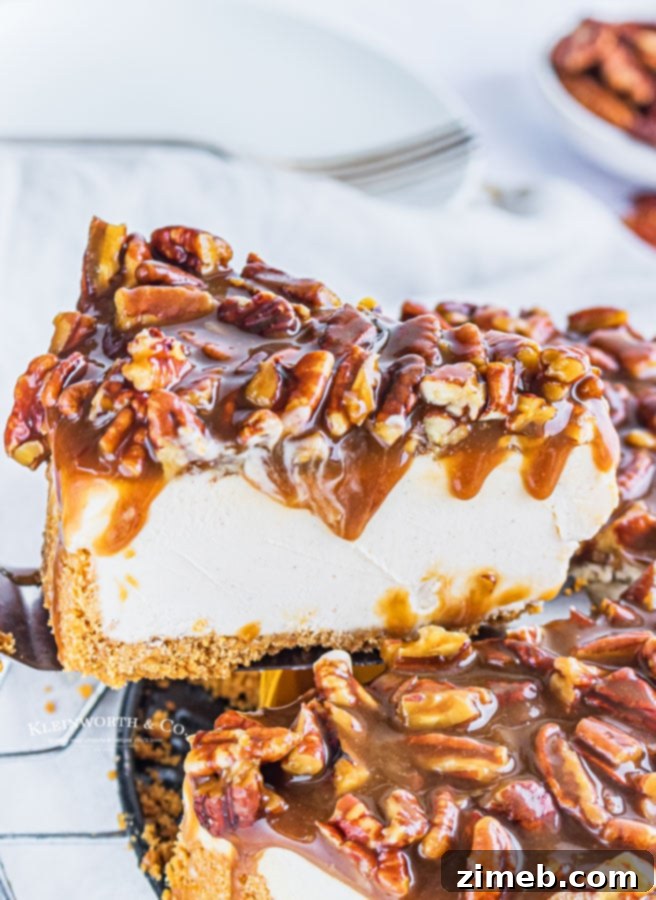 Ultimate No-Bake Pecan Pie Cheesecake 12 best recipe for No-Bake Pecan Pie Cheesecake