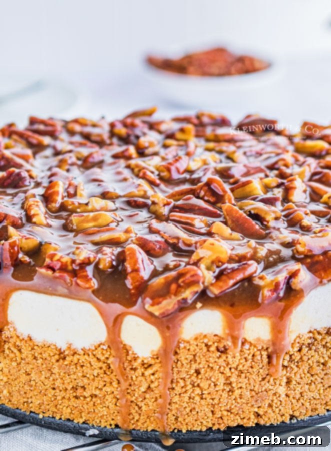 Ultimate No-Bake Pecan Pie Cheesecake 3 holiday cheesecake recipe no bake