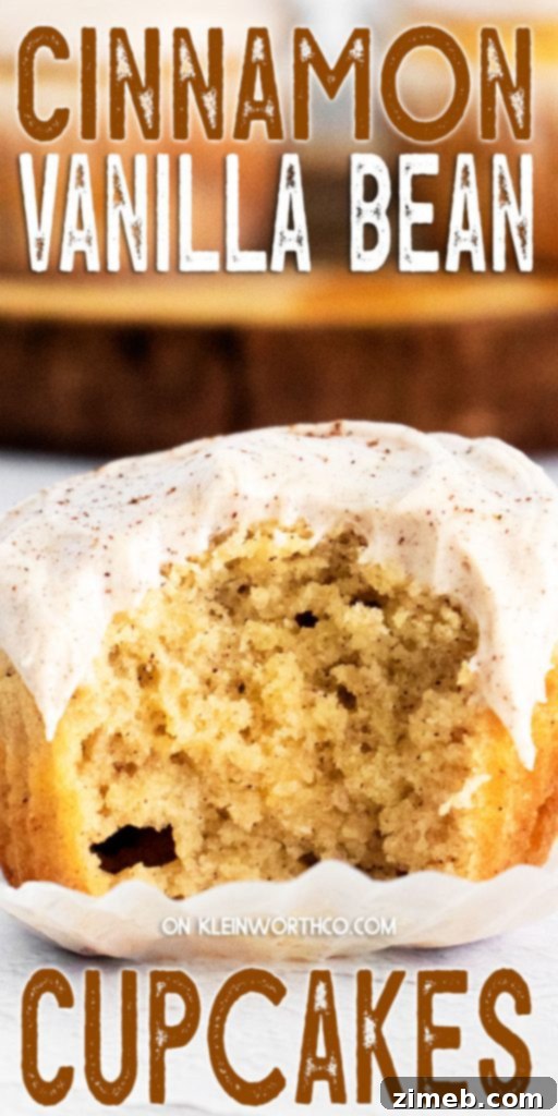 Cinnamon Vanilla Bean Cupcakes - a delightful fall or holiday dessert