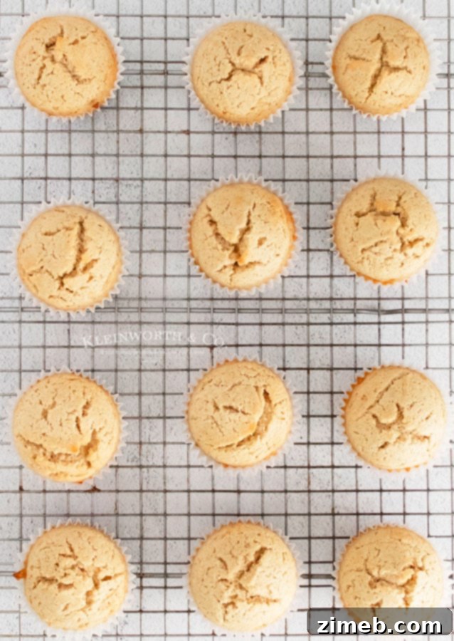 Unfrosted Cinnamon Vanilla Bean Cupcakes, showcasing their golden-brown tops