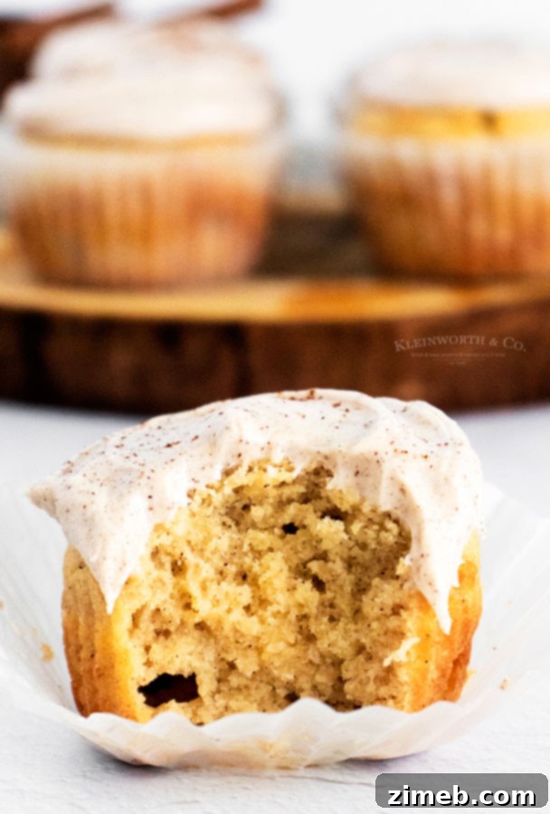Beautifully frosted Vanilla Bean Cupcakes with cinnamon swirl