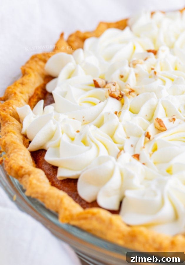 The Ultimate Pumpkin Pie 13 pumpkin pie sprinkled with pecans
