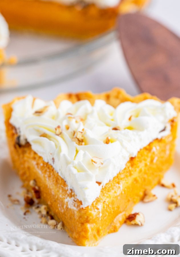 The Ultimate Pumpkin Pie 15 piece of pumpkin pie