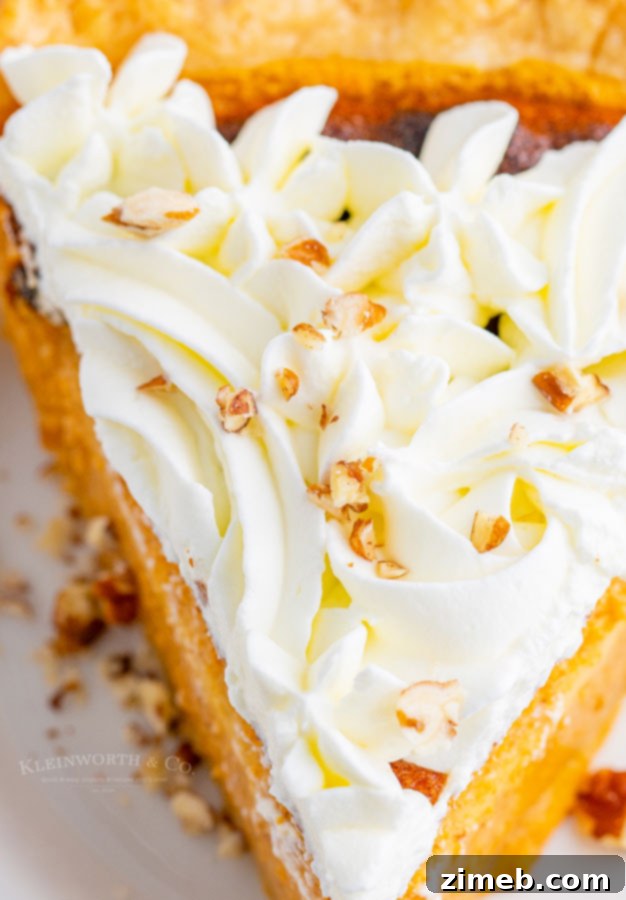 The Ultimate Pumpkin Pie 16 whipped cream detail