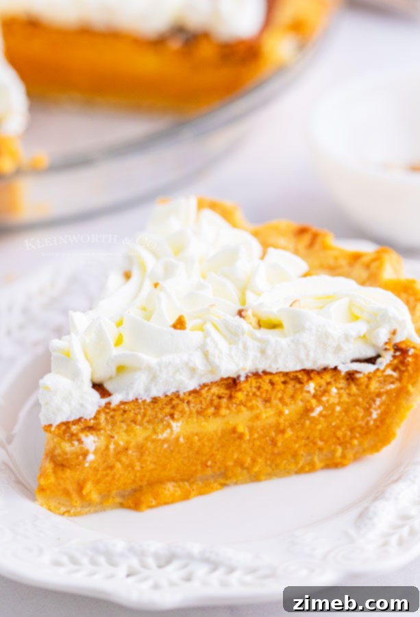 The Ultimate Pumpkin Pie 17 slice of pumpkin pie