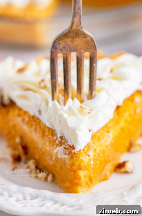 The Ultimate Pumpkin Pie 26 fork with the piece of pie