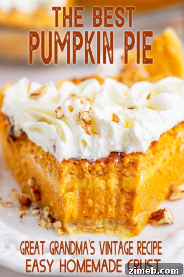 The Ultimate Pumpkin Pie 28 Best Pumpkin Pie