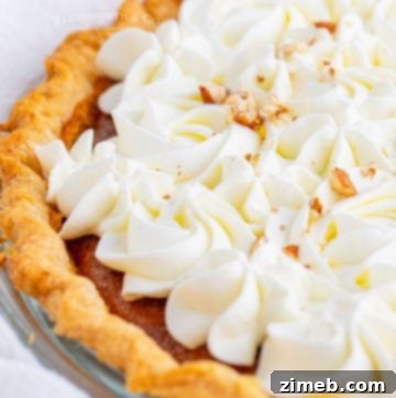 The Ultimate Pumpkin Pie 29 pumpkin pie sprinkled with pecans