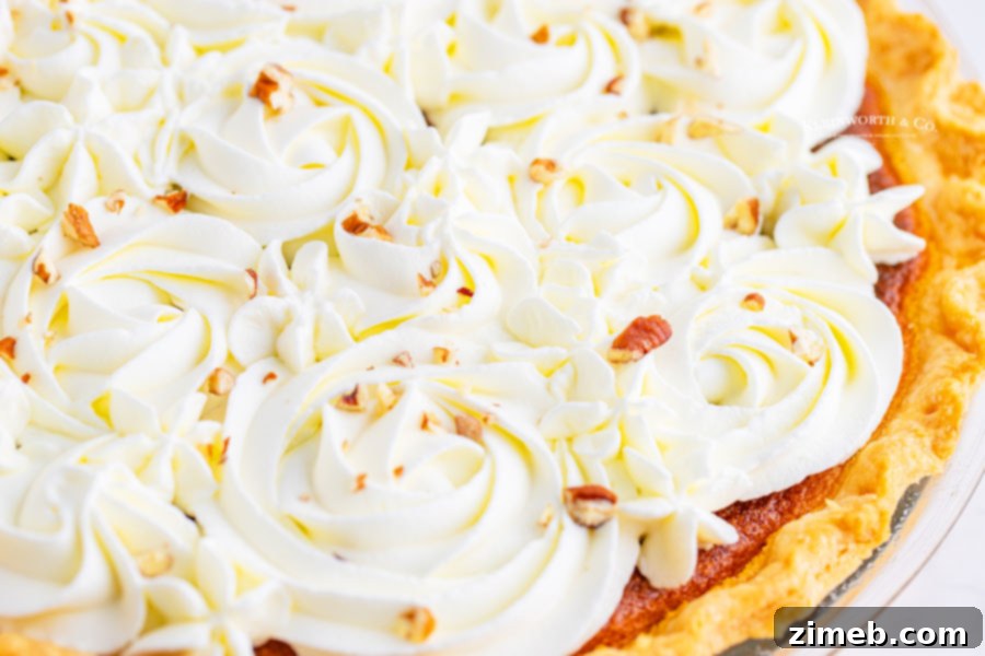 The Ultimate Pumpkin Pie 4 Best Pumpkin Pie with whipped cream