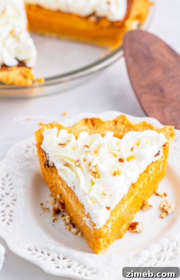 The Ultimate Pumpkin Pie 5 pipped whipped cream on pie