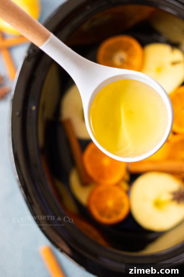 Golden Bourbon Apple Brew 6 A delicious glass of spiked hot apple cider garnished with cinnamon and orange.
