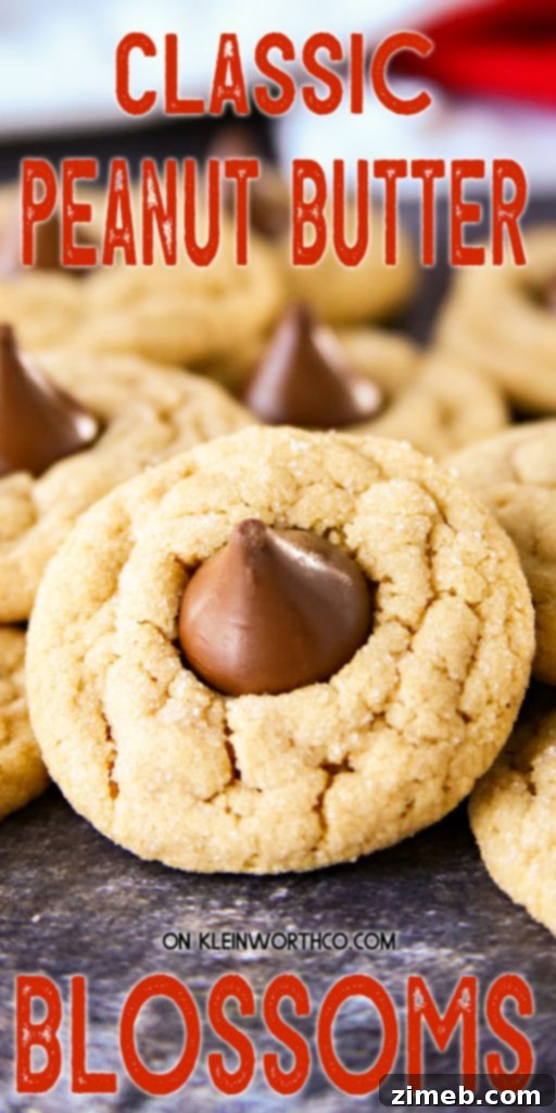 Peanut Butter Blossom Delights 2 Classic Peanut Butter Blossom Cookies
