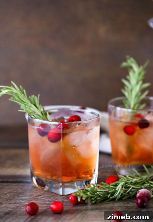 Instructions on how to make a delicious Apple Cranberry Spritzer