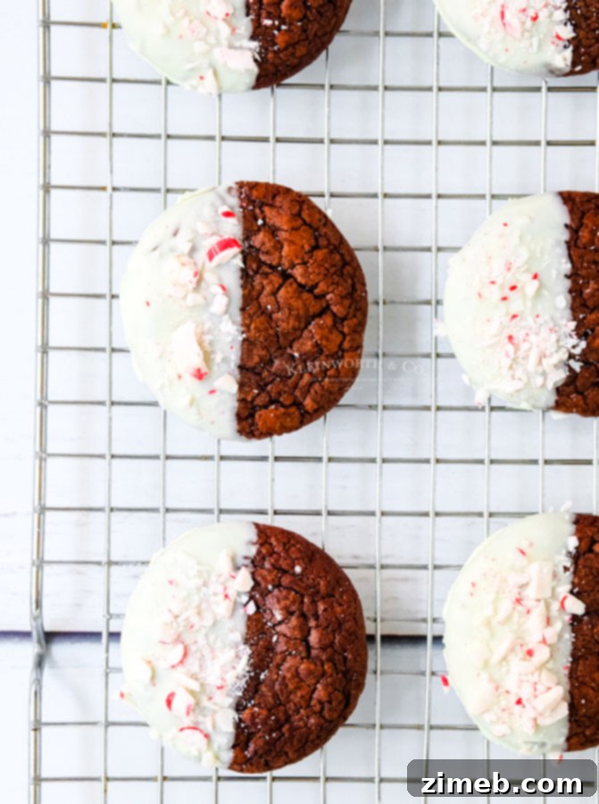 Close-up of white chocolate dipped peppermint cookies