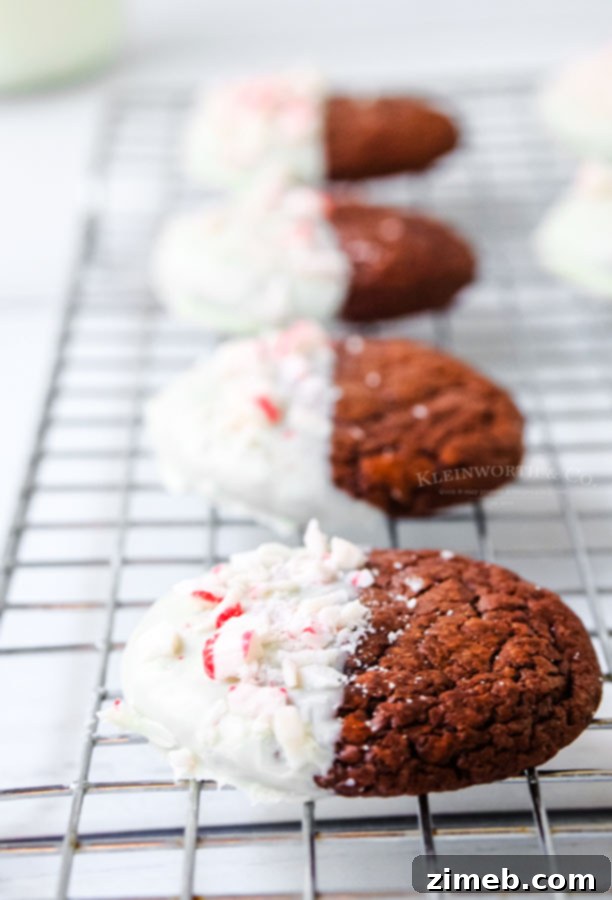 Recipe for Double Chocolate Peppermint Cookies, showing ingredients and steps