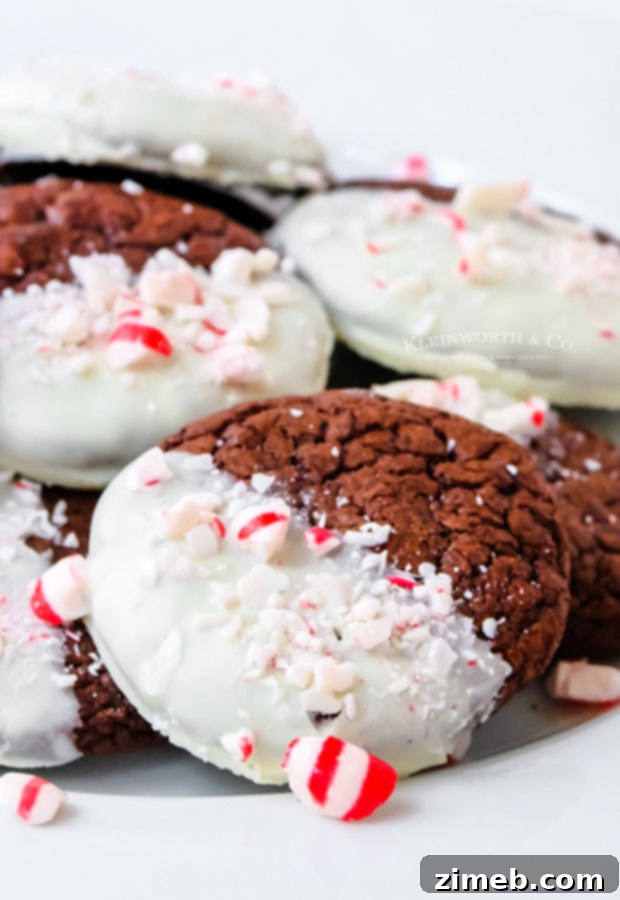 Chocolate cookies sprinkled with peppermint candy