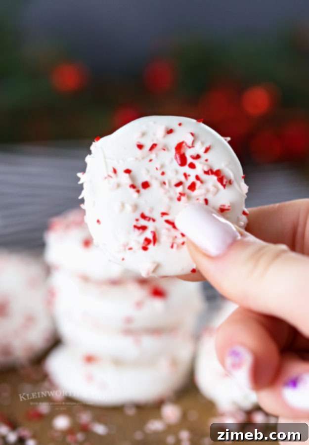 White chocolate coated Oreo cookies with peppermint