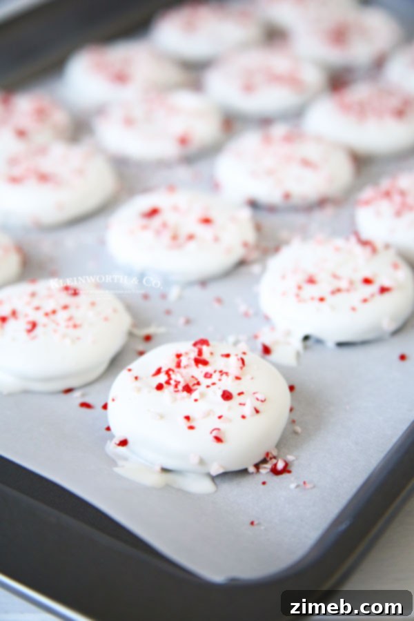 Adding crushed peppermint to white chocolate Oreos