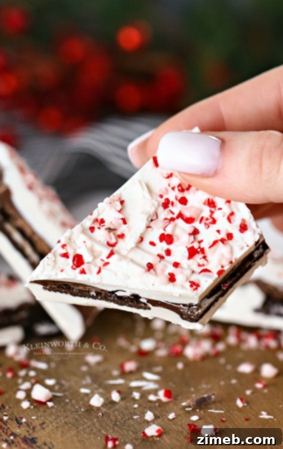 White chocolate layer with Oreo cookies on peppermint bark