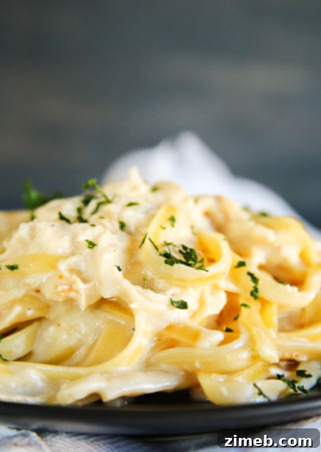 Close-up of creamy Instant Pot Alfredo recipe with shrimp.