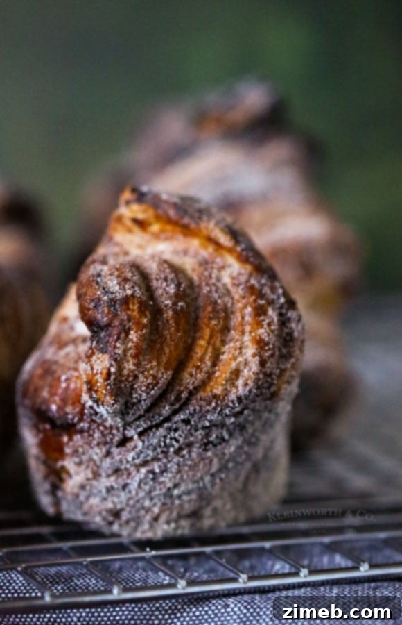 Effortless Homemade Cruffins 11 Cinnamon Sugar Cruffins, golden and sweet.