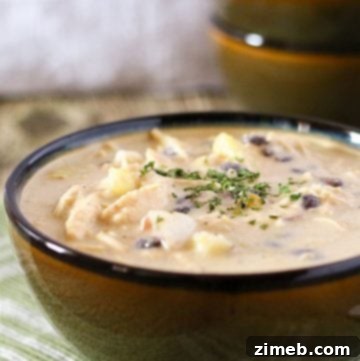 quick dinner - Hearty Chicken Soup