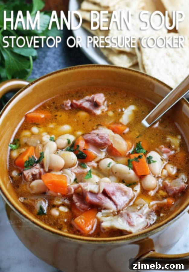 Close-up of Ham and Bean Soup, highlighting texture and ingredients