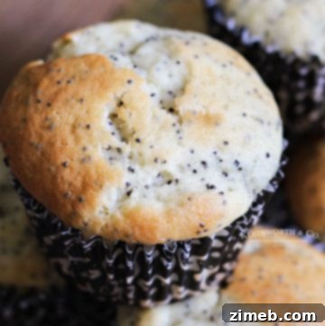 Micro Flapjack Bites 12 poppy seed muffin recipe