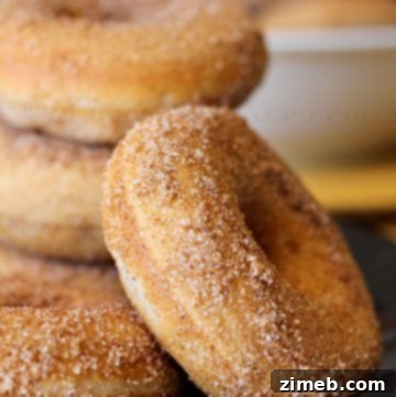 Micro Flapjack Bites 18 Baked Churro Donuts