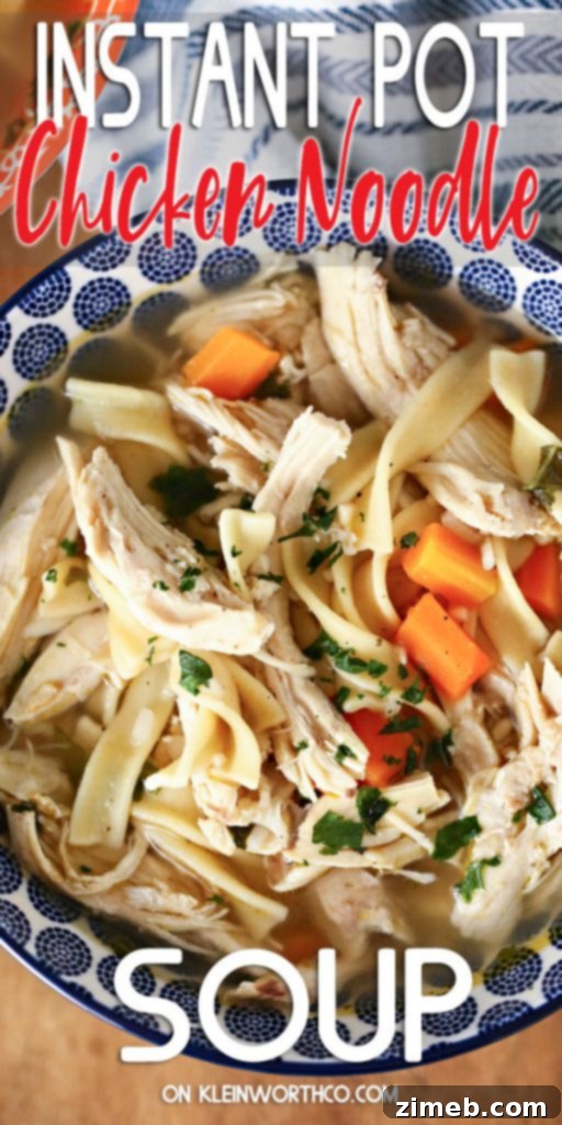 Easy Instant Pot Chicken Noodle Soup 2 Instant Pot Chicken Noodle Soup