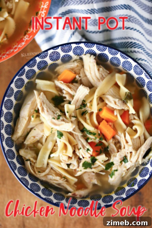 Easy Instant Pot Chicken Noodle Soup 15 Instant Pot Chicken Noodle Soup