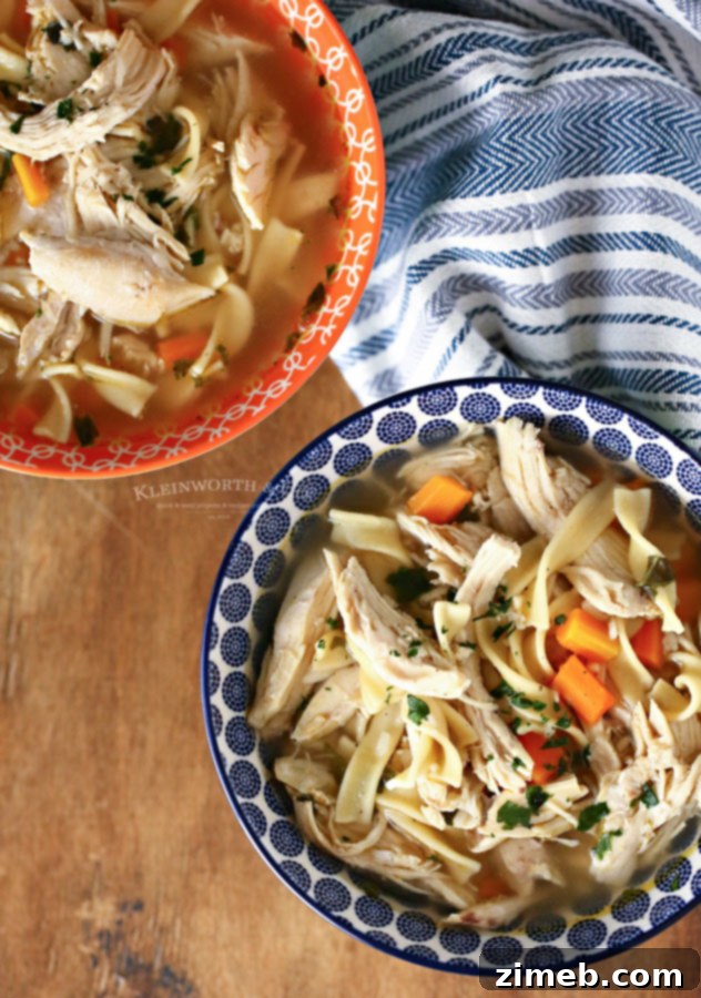 Easy Instant Pot Chicken Noodle Soup 3 Instant Pot Chicken Noodle Soup rotisserie