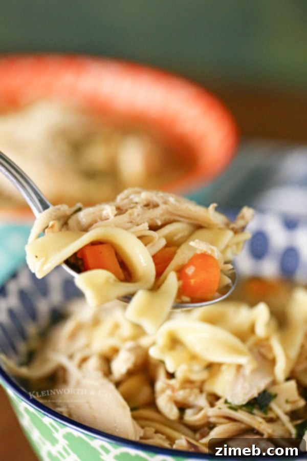 Easy Instant Pot Chicken Noodle Soup 4 Instant Pot Chicken Noodle Soup Recipe