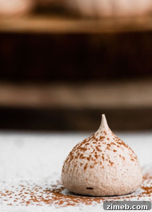 Crisp Chocolate Meringue Clouds 8 Dark Chocolate Cocoa Powder Cookies stacked