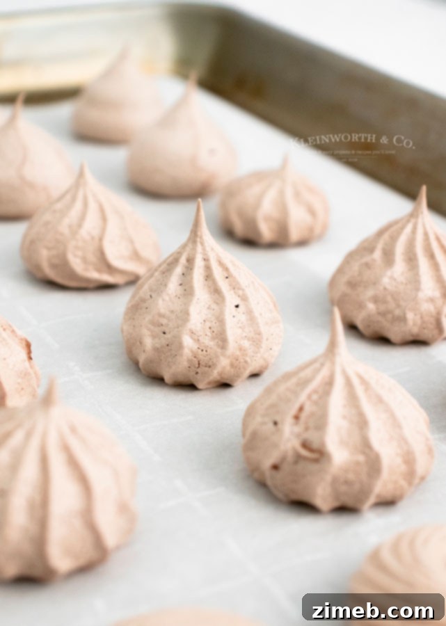 Crisp Chocolate Meringue Clouds 10 Recipe for Chocolate Meringues with a perfect swirl