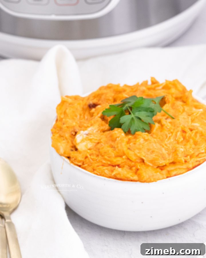pressure cooker chicken dip