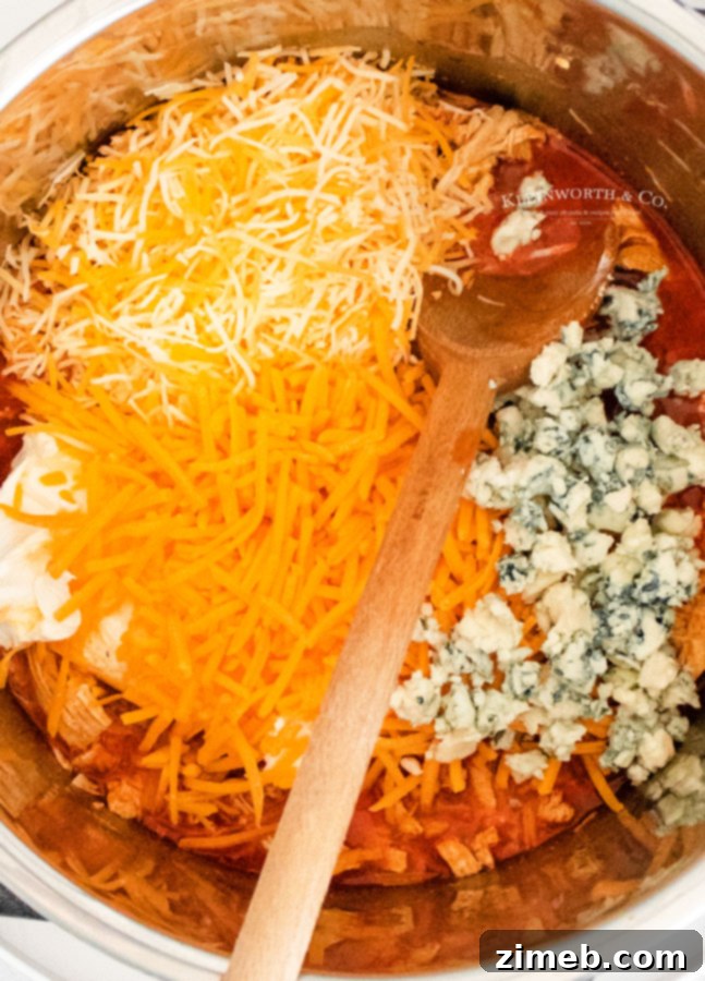 pressure cooker chicken dip