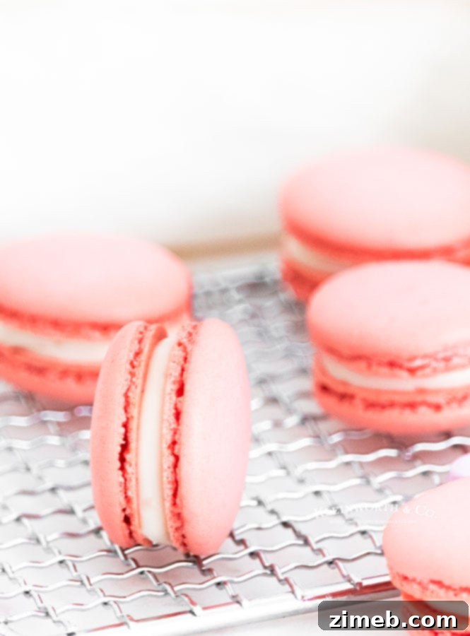 Heart-shaped Valentine Macarons with Strawberry Filling