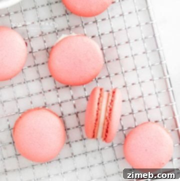 Vanilla Cloud Kisses 14 spring Pink Macaron Recipe