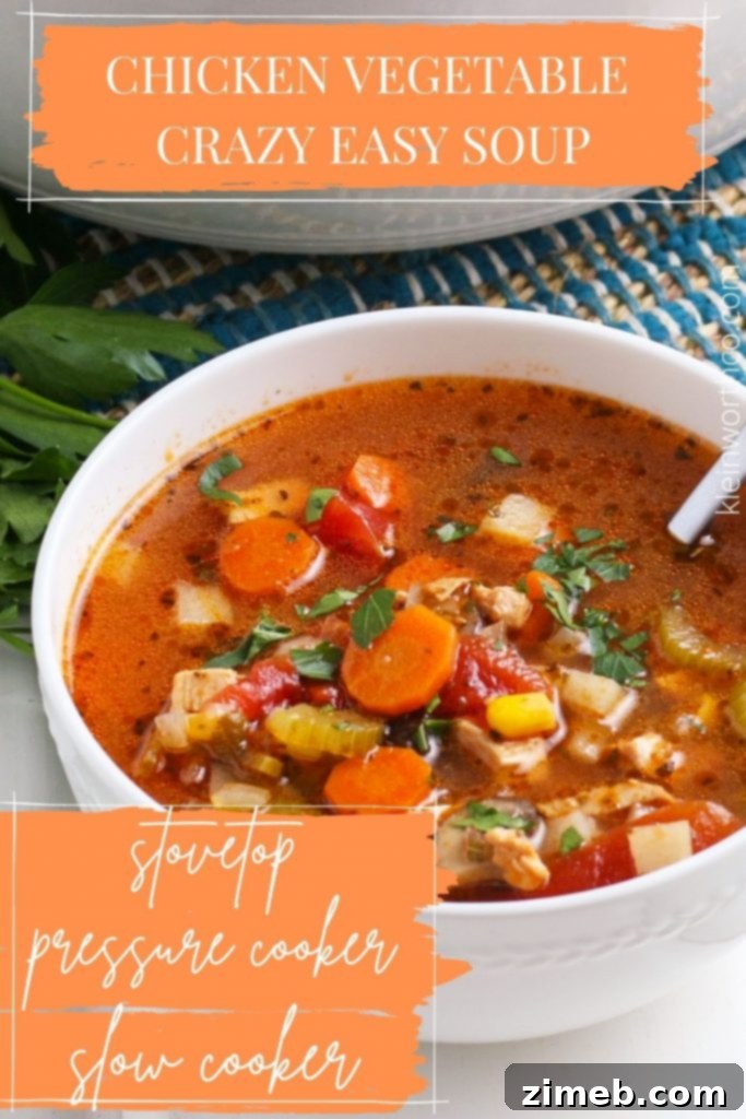 Hearty Homestyle Chicken & Vegetable Soup 2 Delicious and hearty Chicken Vegetable Soup, perfect for a quick dinner.