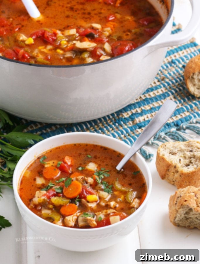 Hearty Homestyle Chicken & Vegetable Soup 17 Serving an instant pot chicken vegetable soup.