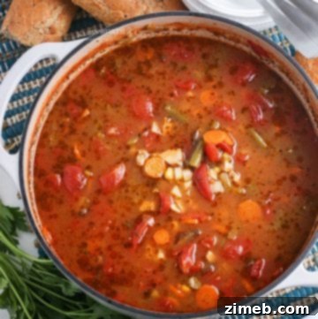 Hearty Homestyle Chicken & Vegetable Soup 19 slow cooker chicken vegetable soup