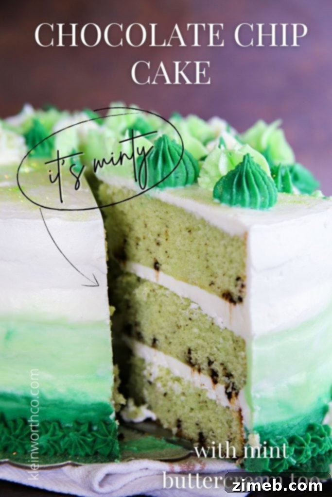 Mint Chocolate Chip Cake 2 Delicious 3-layer Mint Chocolate Chip Cake with green to white ombre frosting
