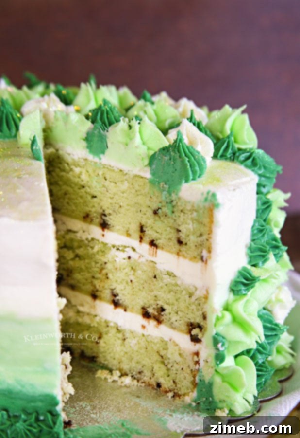 Mint Chocolate Chip Cake 15 Festive green shamrock cake design