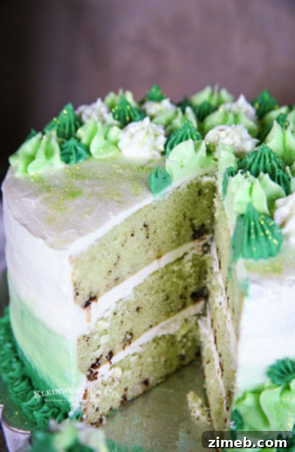 Mint Chocolate Chip Cake 16 St. Patrick's Day Mint Chocolate Chip Cake close-up