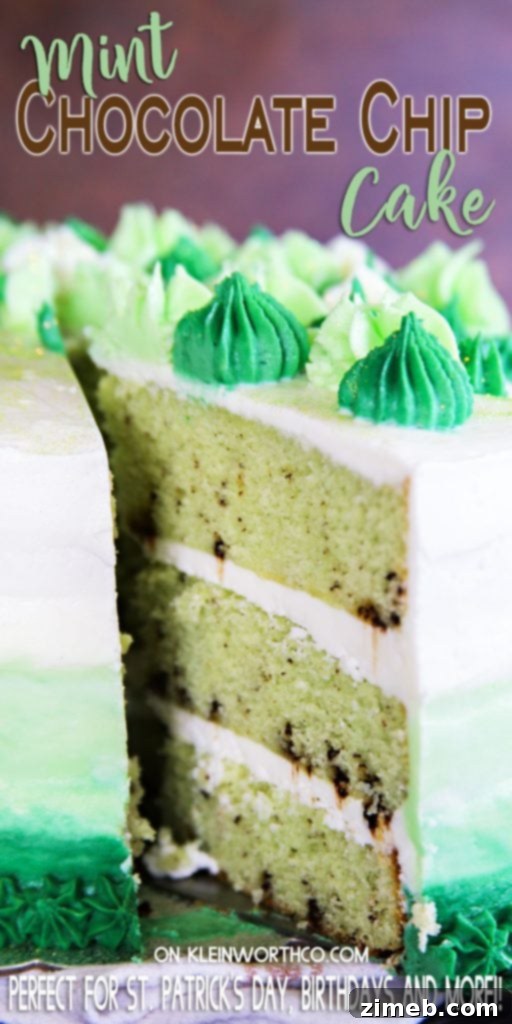 Mint Chocolate Chip Cake 17 Mint Chocolate Chip Cake with a beautiful green ombre frosting