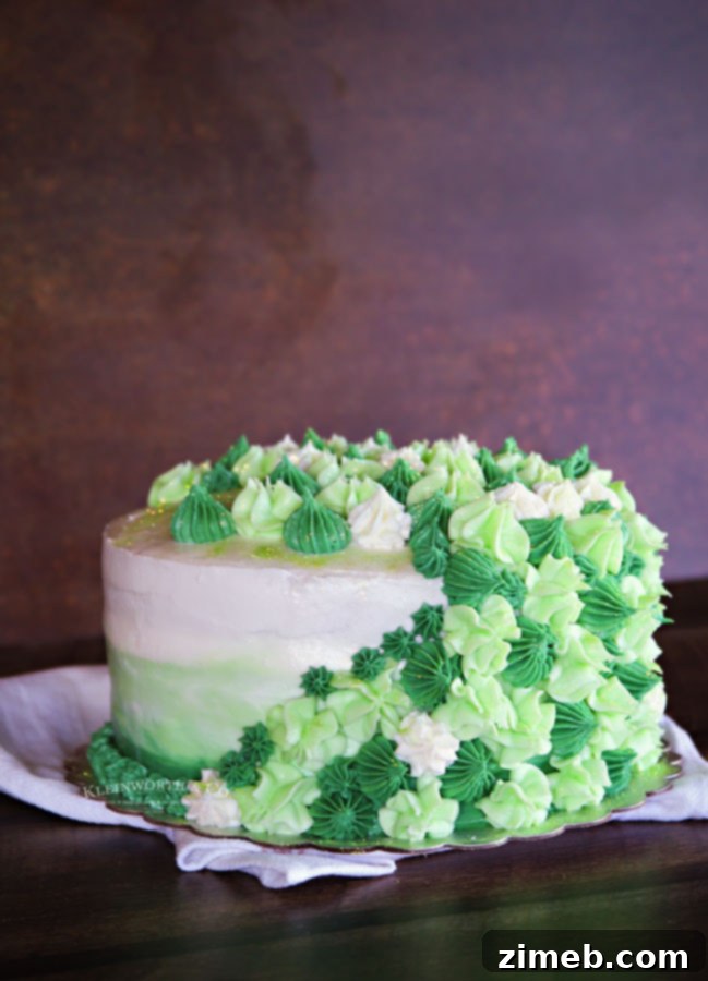 Mint Chocolate Chip Cake 18 St. Patrick's Day cake decorated with green ombre and festive stars