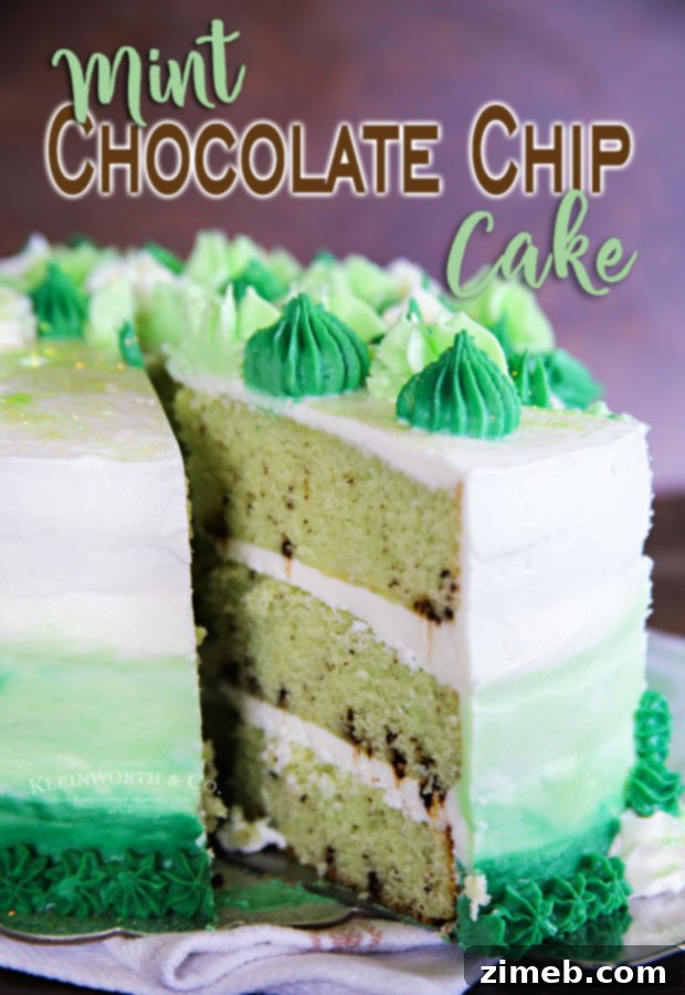 Mint Chocolate Chip Cake 19 Green Mint Chocolate Chip Cake with elegant frosting